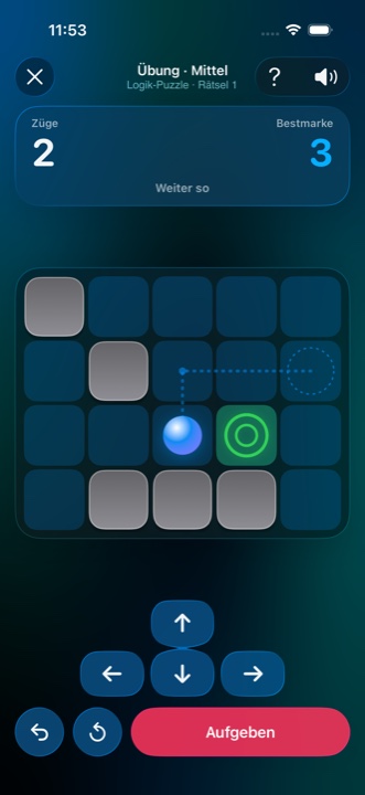 Logik-Puzzle „Eis-Gleiter“