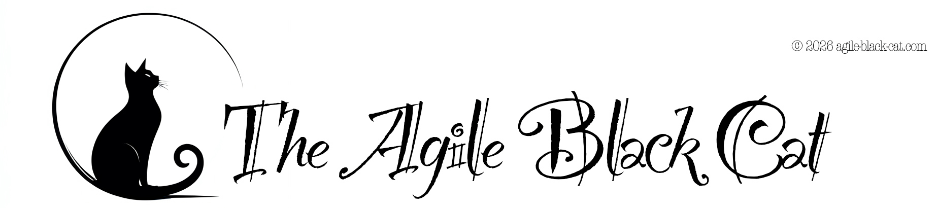 The Agile Black Cat